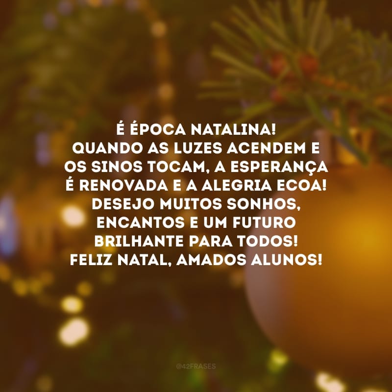 É época natalina! Quando as luzes acendem e os sinos tocam, a esperança é renovada e a alegria ecoa! Desejo muitos sonhos, encantos e um futuro brilhante para todos! Feliz Natal, amados alunos!