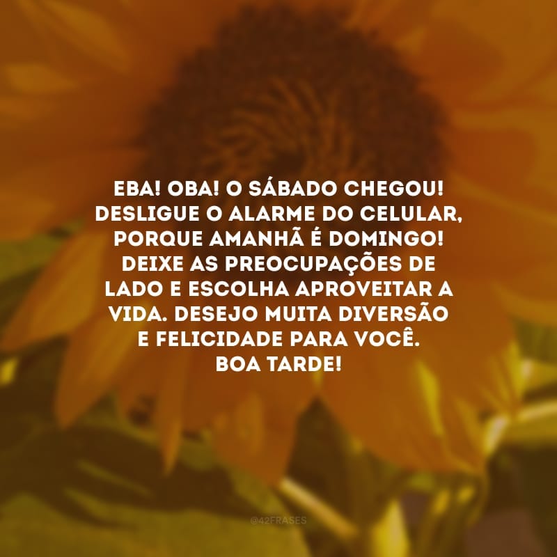 Eba! Oba! O sábado chegou! Desligue o alarme do celular, porque amanhã é domingo! Deixe as preocupações de lado e escolha aproveitar a vida. Desejo muita diversão e felicidade para você. Boa tarde!