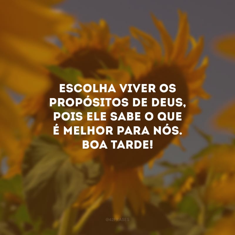 Escolha viver os propósitos de Deus, pois ele sabe o que é melhor para nós. Boa tarde!