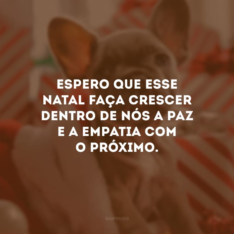 Espero que esse Natal faça crescer dentro de nós a paz e a empatia com o próximo.