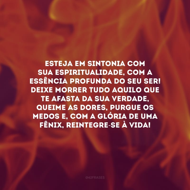 Esteja em sintonia com sua espiritualidade, com a essência profunda do seu ser! Deixe morrer tudo aquilo que te afasta da sua verdade, queime as dores, purgue os medos e, com a glória de uma fênix, reintegre-se à vida!