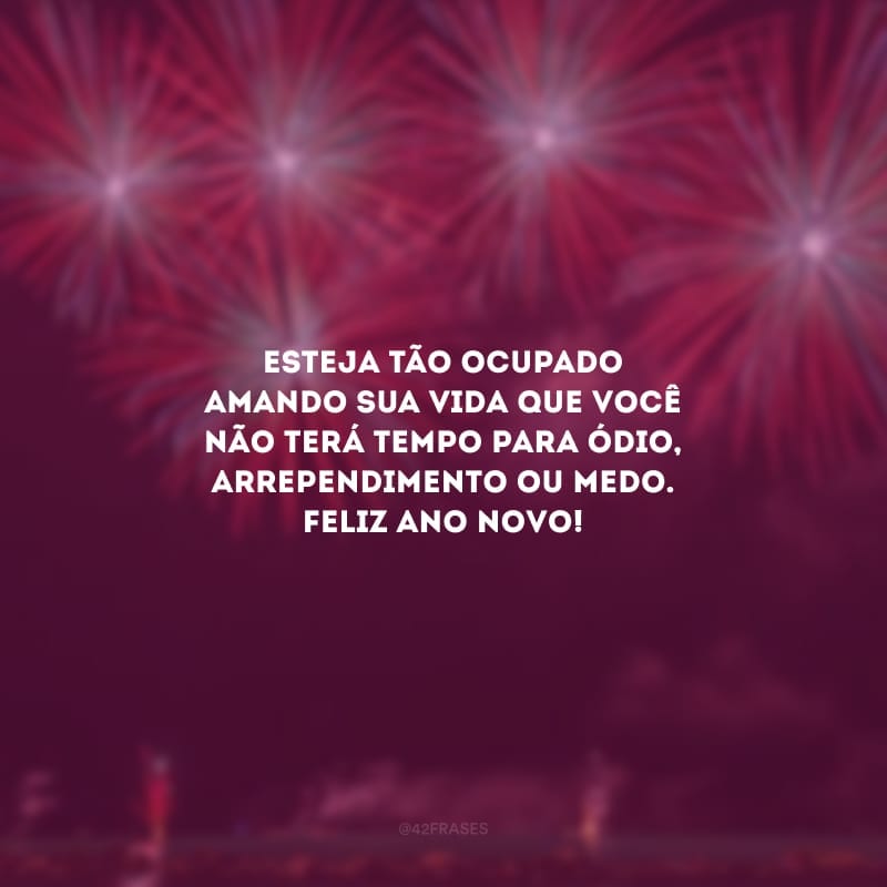 Esteja tão ocupado amando sua vida que você não terá tempo para ódio, arrependimento ou medo. Feliz Ano Novo!