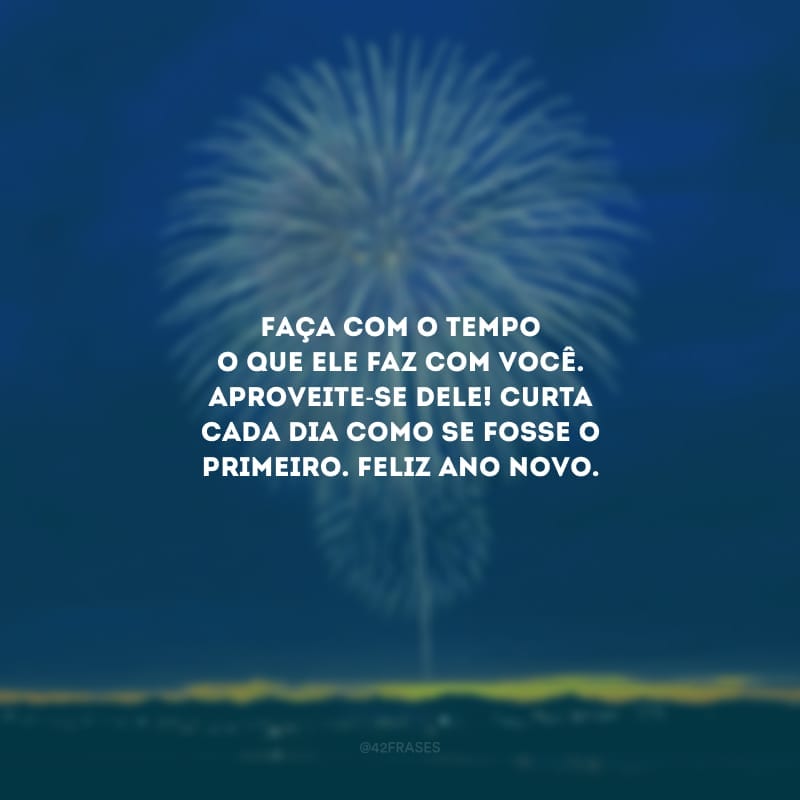 Faça com o tempo o que ele faz com você. Aproveite-se dele! Curta cada dia como se fosse o primeiro. Feliz Ano Novo.