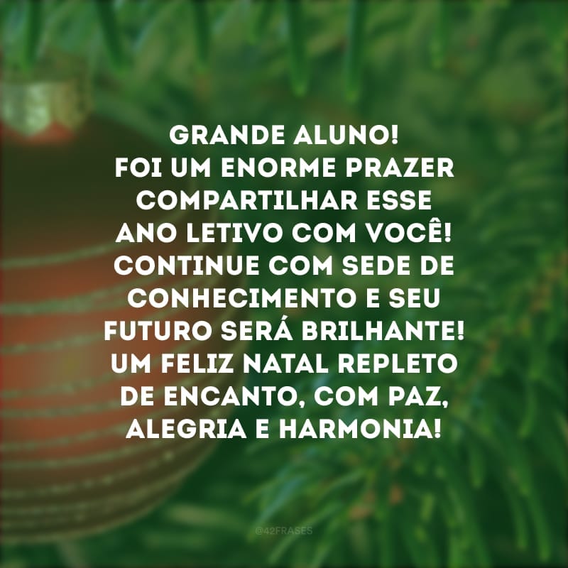 Grande aluno! Foi um enorme prazer compartilhar esse ano letivo com você! Continue com sede de conhecimento e seu futuro será brilhante! Um Feliz Natal repleto de encanto, com paz, alegria e harmonia!