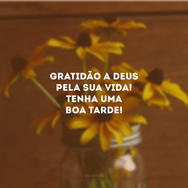 Gratidão a Deus pela sua vida! Tenha uma boa tarde!