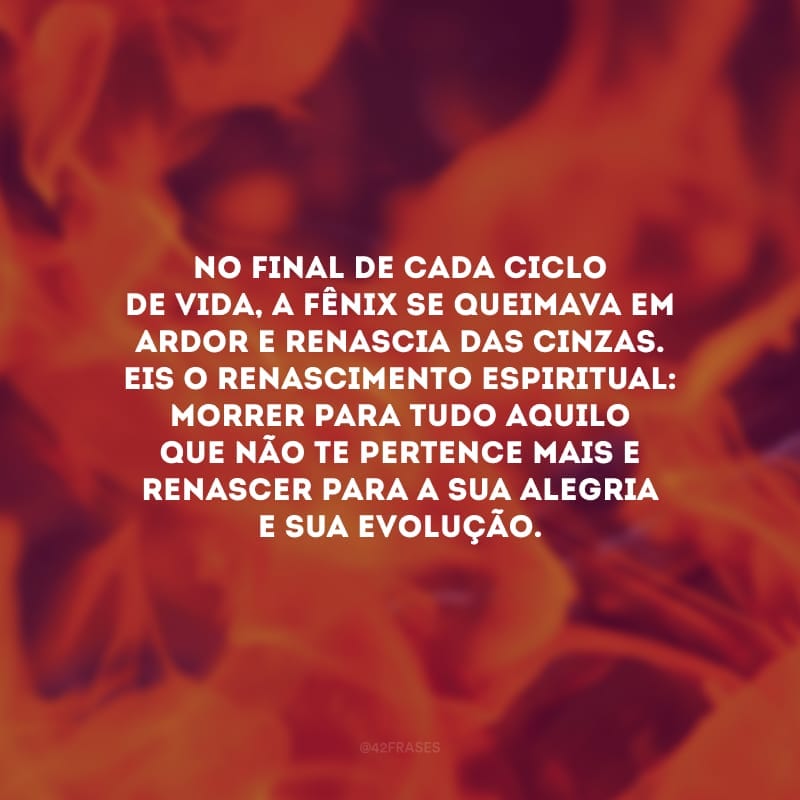 No final de cada ciclo de vida, a fênix se queimava em ardor e renascia das cinzas. Eis o renascimento espiritual: morrer para tudo aquilo que não te pertence mais e renascer para a sua alegria e sua evolução.