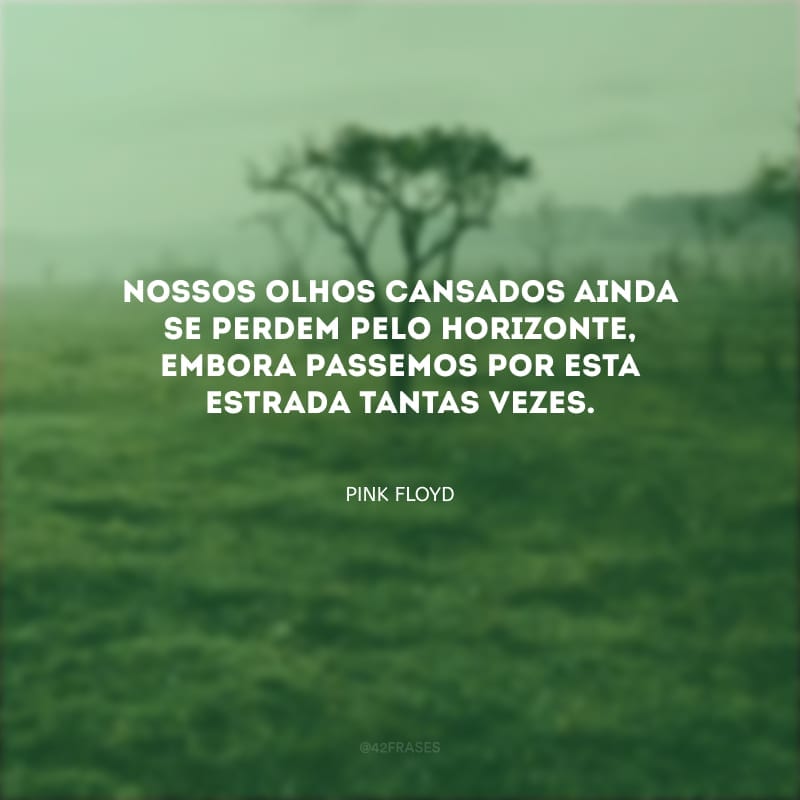 Nossos olhos cansados ainda se perdem pelo horizonte, embora passemos por esta estrada tantas vezes.