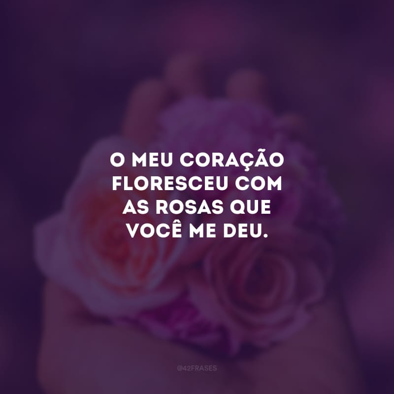 O meu coração floresceu com as rosas que você me deu. 