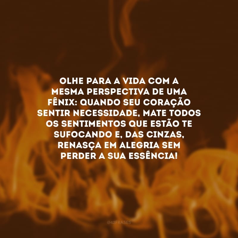 Olhe para a vida com a mesma perspectiva de uma fênix: quando seu coração sentir necessidade, mate todos os sentimentos que estão te sufocando e, das cinzas, renasça em alegria sem perder a sua essência!