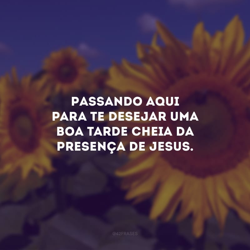 Passando aqui para te desejar uma boa tarde cheia da presença de Jesus. 