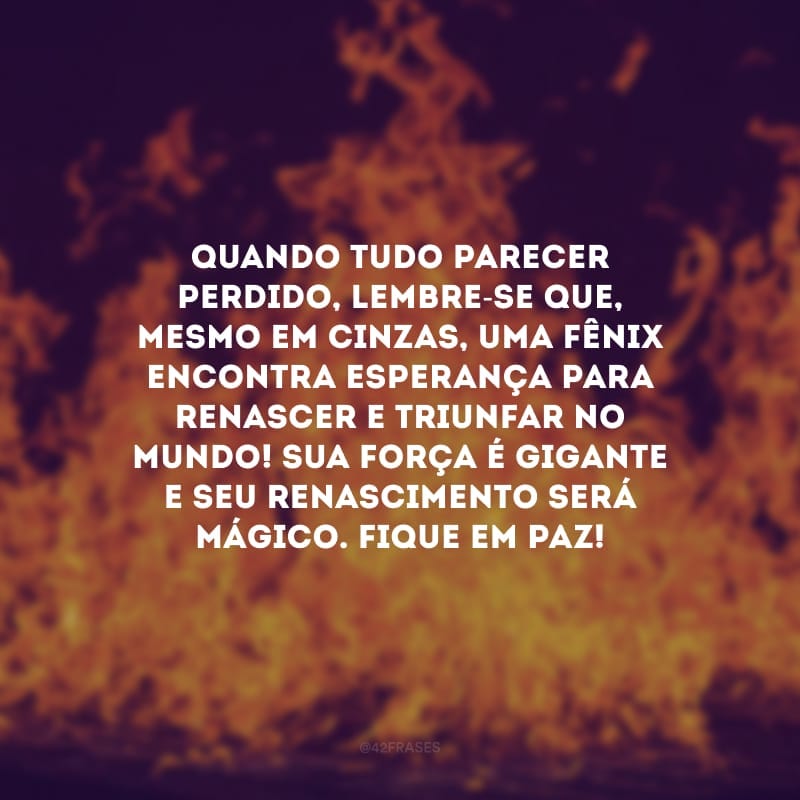 Quando tudo parecer perdido, lembre-se que, mesmo em cinzas, uma fênix encontra esperança para renascer e triunfar no mundo! Sua força é gigante e seu renascimento será mágico. Fique em paz!