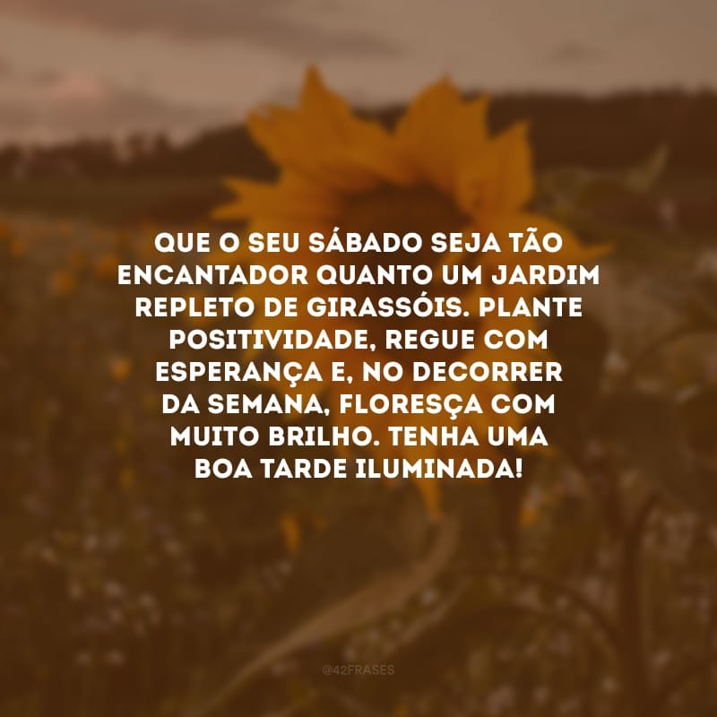 Que o seu sábado seja tão encantador quanto um jardim repleto de girassóis. Plante positividade, regue com esperança e, no decorrer da semana, floresça com muito brilho. Tenha uma boa tarde iluminada!