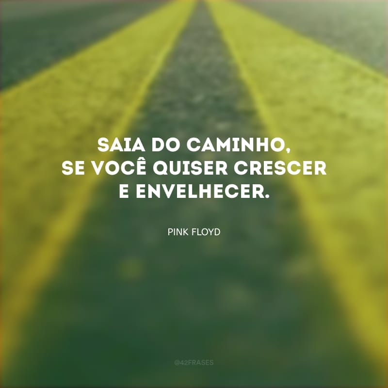 Saia do caminho, se você quiser crescer e envelhecer.