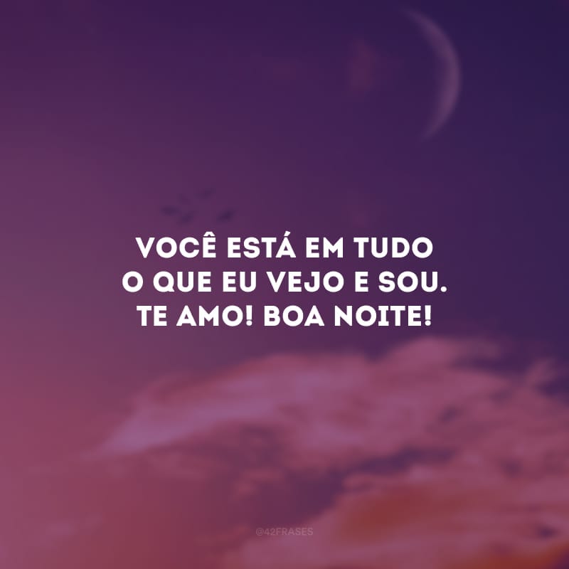 Você está em tudo o que eu vejo e sou. Te amo! Boa noite!