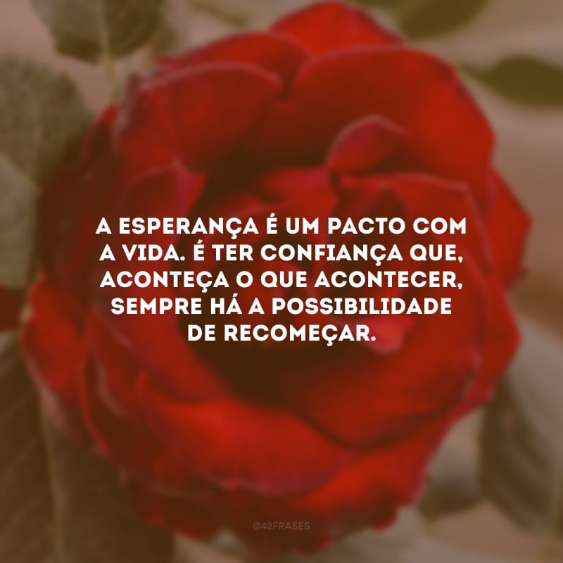 A esperança é um pacto com a vida. É ter confiança que, aconteça o que acontecer, sempre há a possibilidade de recomeçar.