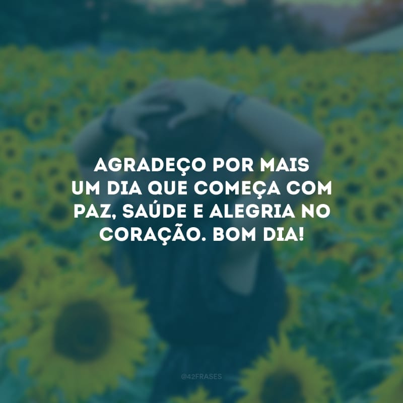 Agradeço por mais um dia que começa com paz, saúde e alegria no coração. Bom dia!