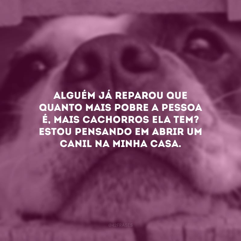 Alguém já reparou que quanto mais pobre a pessoa é, mais cachorros ela tem? Estou pensando em abrir um canil na minha casa.