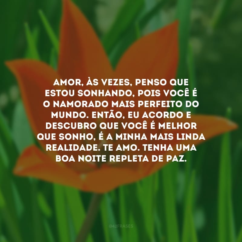 Amor, às vezes, penso que estou sonhando, pois você é o namorado mais perfeito do mundo. Então, eu acordo e descubro que você é melhor que sonho, é a minha mais linda realidade. Te amo. Tenha uma boa noite repleta de paz.