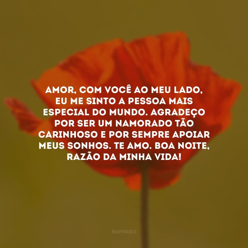 Amor, com você ao meu lado, eu me sinto a pessoa mais especial do mundo. Agradeço por ser um namorado tão carinhoso e por sempre apoiar meus sonhos. Te amo. Boa noite, razão da minha vida!