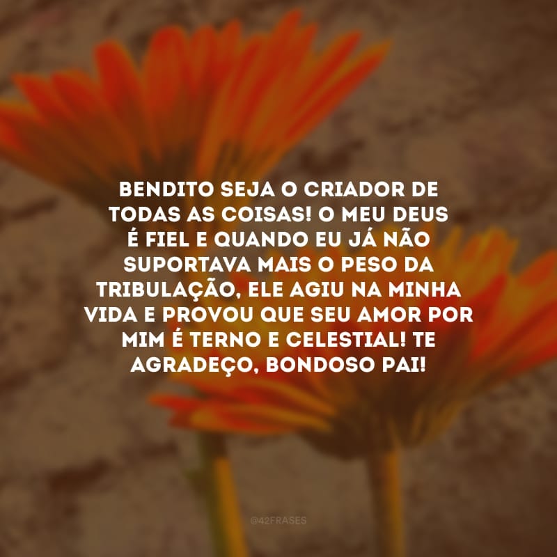 Bendito seja o Criador de todas as coisas! O meu Deus é fiel e quando eu já não suportava mais o peso da tribulação, Ele agiu na minha vida e provou que Seu amor por mim é terno e celestial! Te agradeço, bondoso Pai!