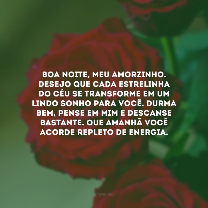 Boa noite, meu amorzinho. Desejo que cada estrelinha do céu se transforme em um lindo sonho para você. Durma bem, pense em mim e descanse bastante. Que amanhã você acorde repleto de energia.