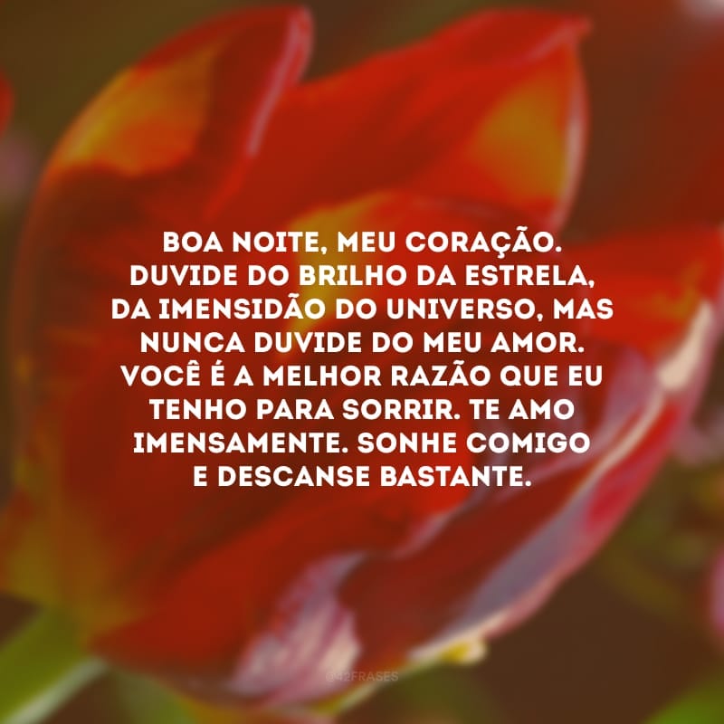 Boa noite, meu coração. Duvide do brilho da estrela, da imensidão do universo, mas nunca duvide do meu amor. Você é a melhor razão que eu tenho para sorrir. Te amo imensamente. Sonhe comigo e descanse bastante.