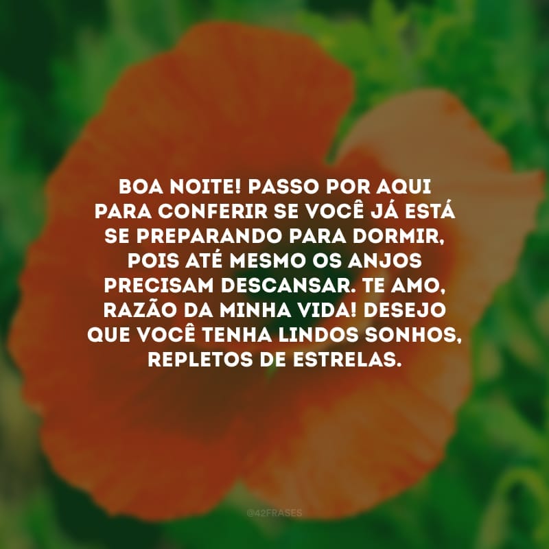 Boa noite! Passo por aqui para conferir se você já está se preparando para dormir, pois até mesmo os anjos precisam descansar. Te amo, razão da minha vida. Desejo que você tenha lindos sonhos, repletos de estrelas.