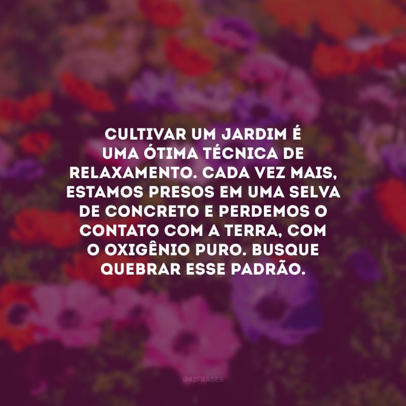 Cultivar um jardim é uma ótima técnica de relaxamento. Cada vez mais, estamos presos em uma selva de concreto e perdemos o contato com a terra, com o oxigênio puro. Busque quebrar esse padrão.