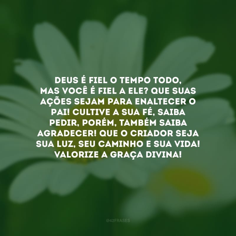 Deus é fiel o tempo todo, mas você é fiel a Ele? Que suas ações sejam para enaltecer o Pai! Cultive a sua fé, saiba pedir, porém, também saiba agradecer! Que o Criador seja sua luz, seu caminho e sua vida! Valorize a graça divina!