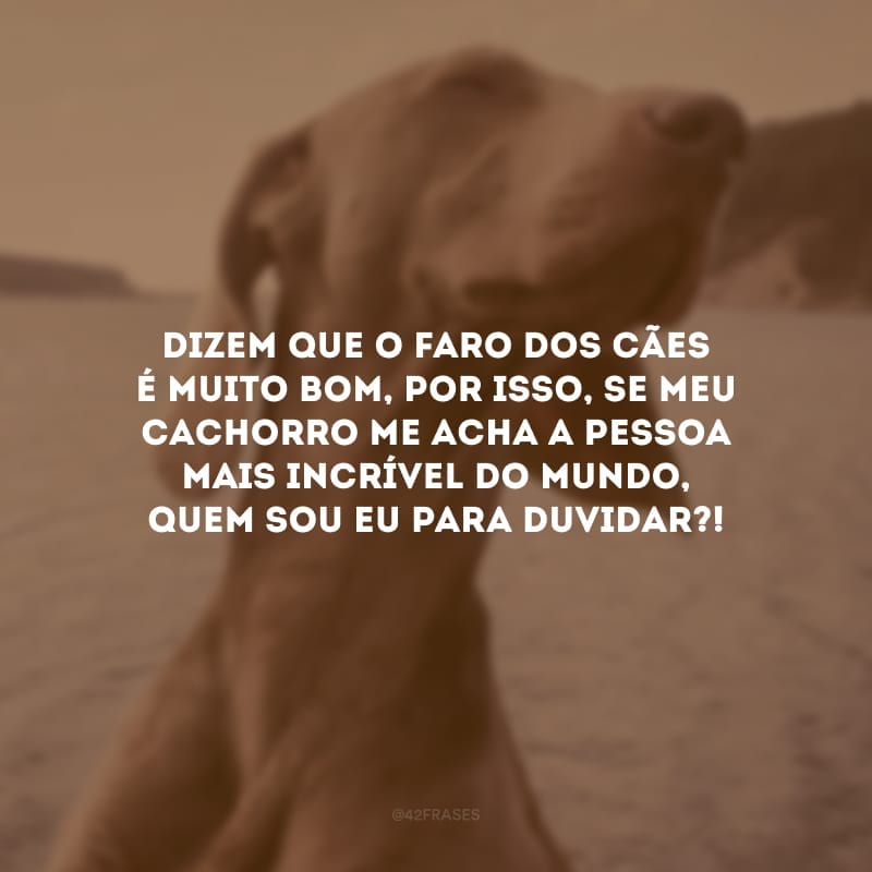 Dizem que o faro dos cães é muito bom, por isso, se meu cachorro me acha a pessoa mais incrível do mundo, quem sou eu para duvidar?!