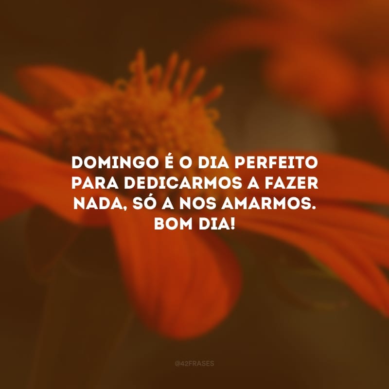 Domingo é o dia perfeito para dedicarmos a fazer nada, só a nos amarmos. Bom dia!