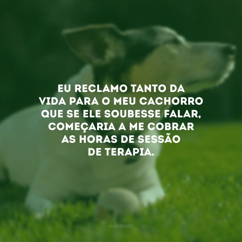 Eu reclamo tanto da vida para o meu cachorro que se ele soubesse falar, começaria a me cobrar as horas de sessão de terapia.