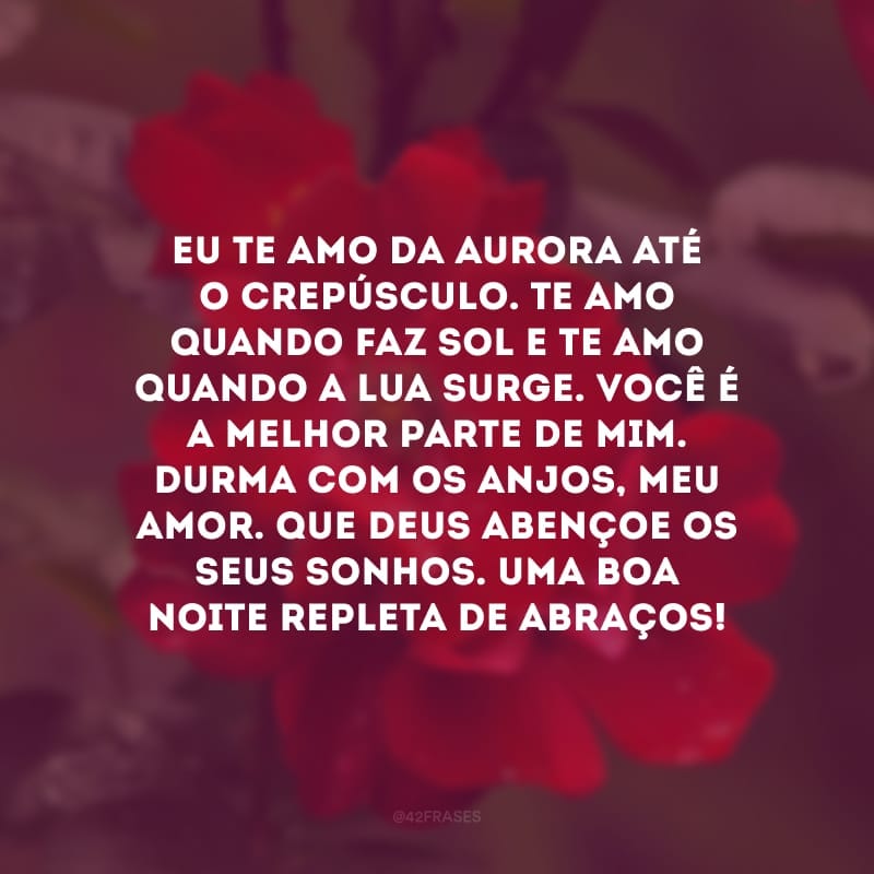 Eu te amo da aurora até o crepúsculo. Te amo quando faz sol e te amo quando a lua surge. Você é a melhor parte de mim. Durma com os anjos, meu amor. Que Deus abençoe os seus sonhos. Uma boa noite repleta de abraços!