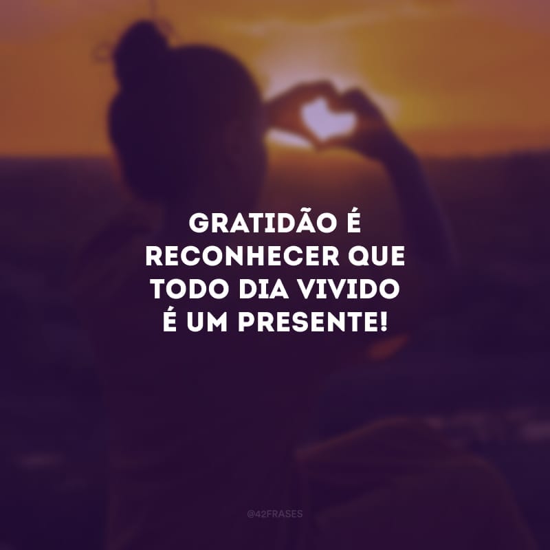 Gratidão é reconhecer que todo dia vivido é um presente!