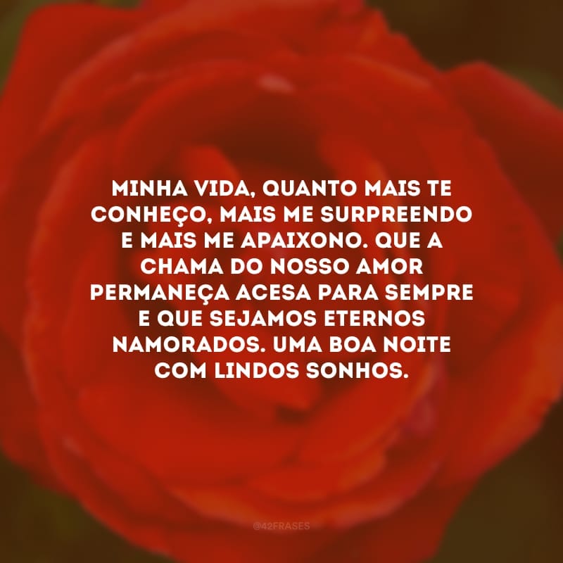 Minha vida, quanto mais te conheço, mais me surpreendo e mais me apaixono. Que a chama do nosso amor permaneça acesa para sempre e que sejamos eternos namorados. Uma boa noite com lindos sonhos.