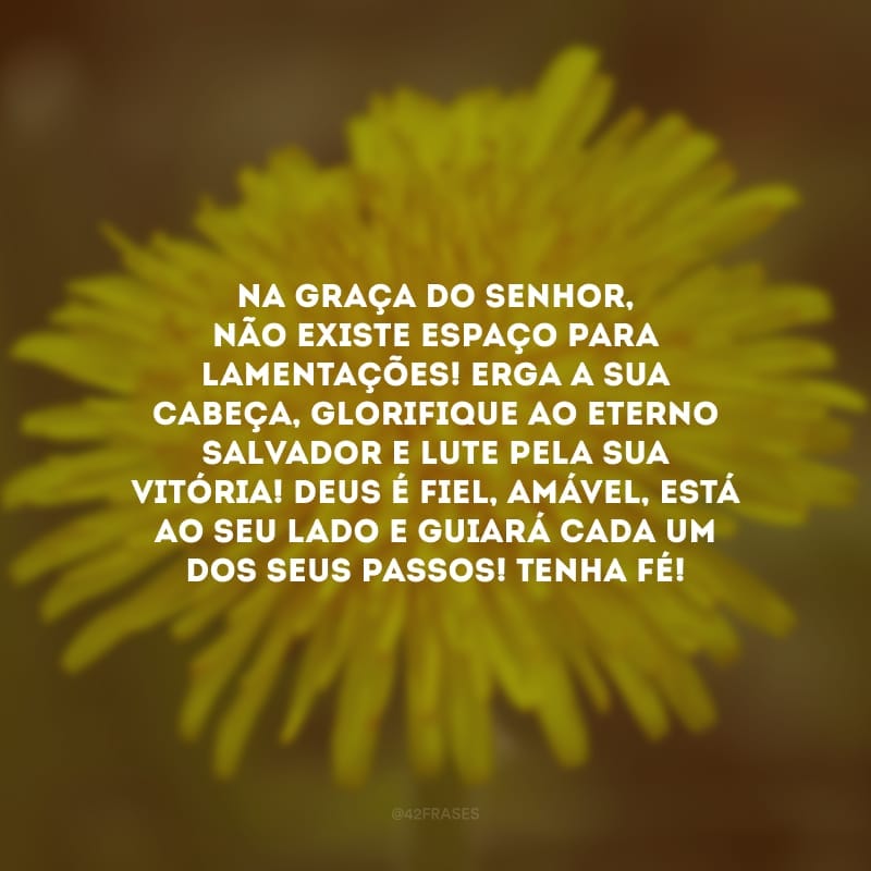 Na graça do Senhor, não existe espaço para lamentações! Erga a sua cabeça, glorifique ao Eterno Salvador e lute pela sua vitória! Deus é fiel, amável, está ao seu lado e guiará cada um dos seus passos! Tenha fé!