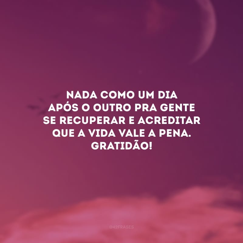 Nada como um dia após o outro pra gente se recuperar e acreditar que a vida vale a pena. Gratidão!