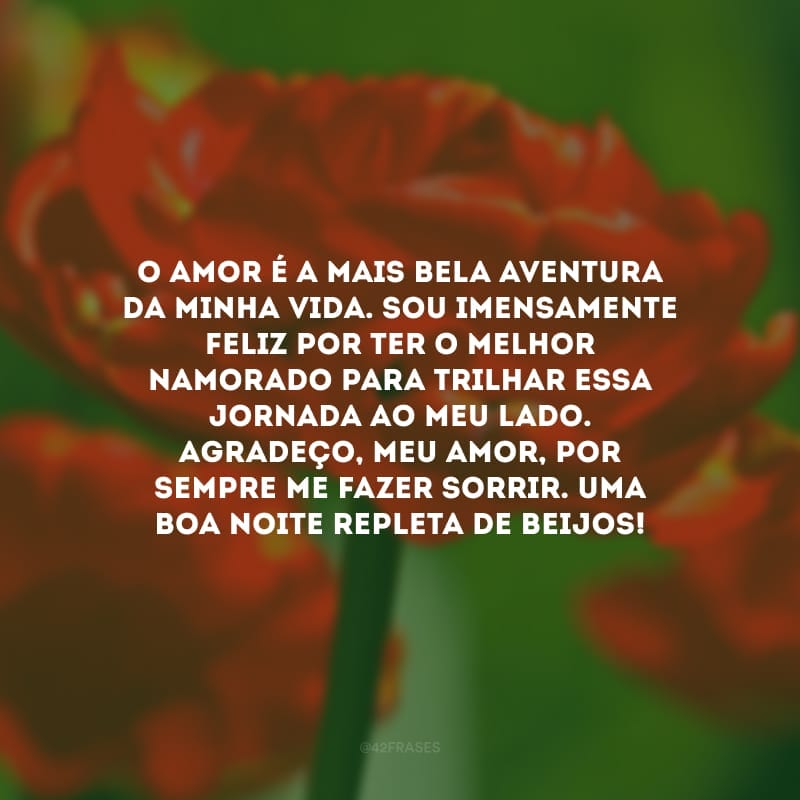 O amor é a mais bela aventura da minha vida. Sou imensamente feliz por ter o melhor namorado para trilhar essa jornada ao meu lado. Agradeço, meu amor, por sempre me fazer sorrir. Uma boa noite repleta de beijos!