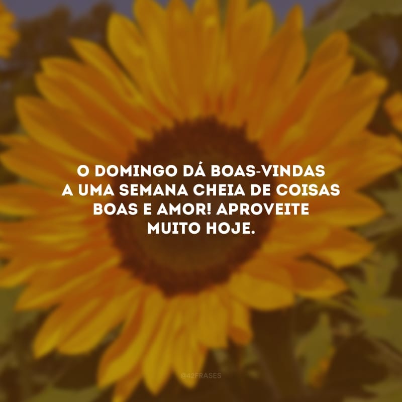 O domingo dá boas-vindas a uma semana cheia de coisas boas e amor! Aproveite muito hoje.
