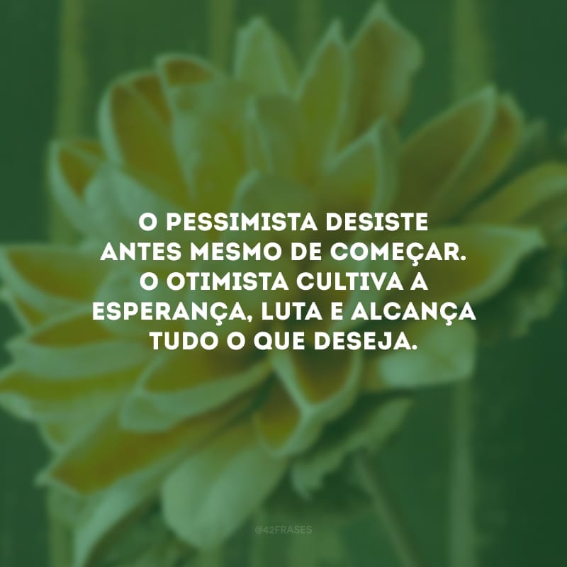 O pessimista desiste antes mesmo de começar. O otimista cultiva a esperança, luta e alcança tudo o que deseja.