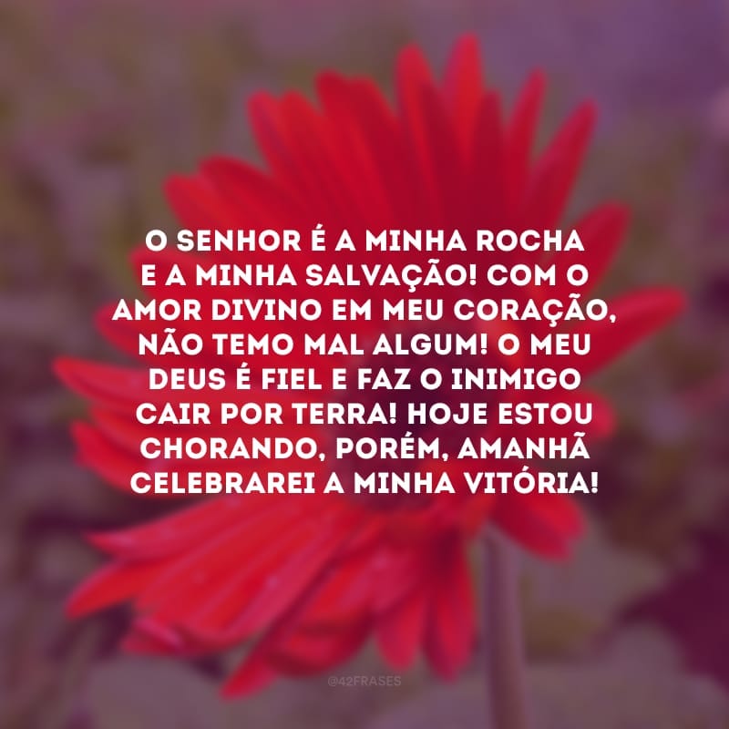 O Senhor é a minha rocha e a minha salvação! Com o amor divino em meu coração, não temo mal algum! O meu Deus é fiel e faz o inimigo cair por terra! Hoje estou chorando, porém, amanhã celebrarei a minha vitória!