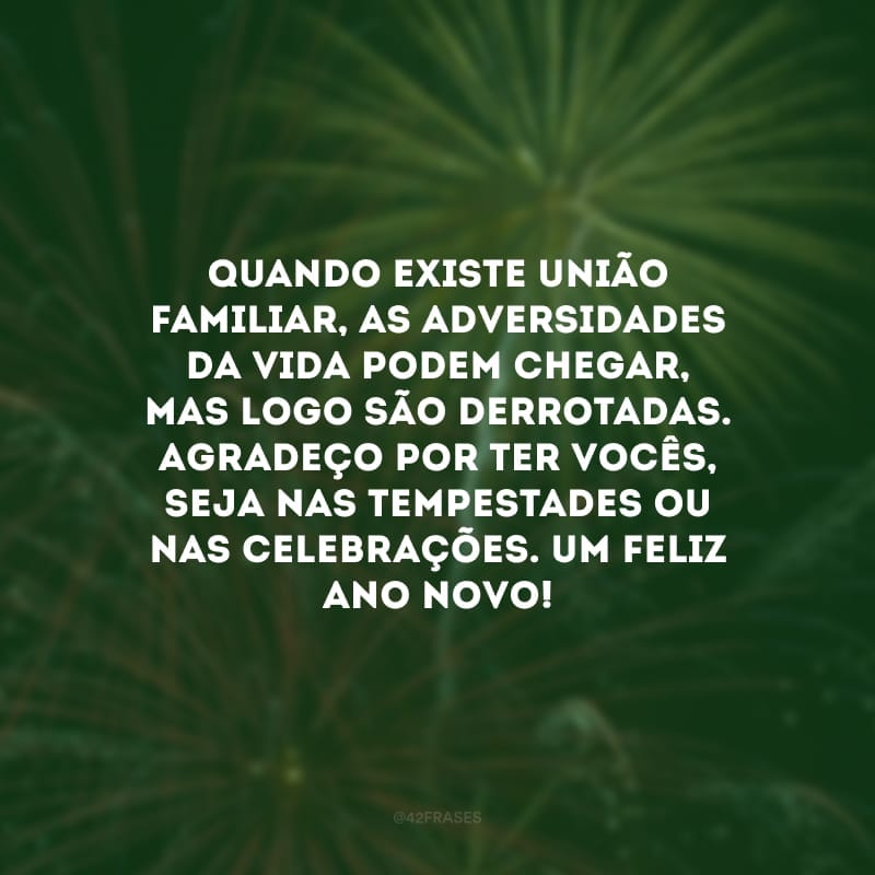 Quando existe união familiar, as adversidades da vida podem chegar, mas logo são derrotadas. Agradeço por ter vocês, seja nas tempestades ou nas celebrações. Um feliz Ano Novo!