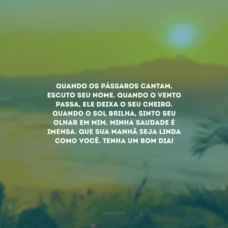 Quando os pássaros cantam, escuto seu nome. Quando o vento passa, ele deixa o seu cheiro. Quando o sol brilha, sinto seu olhar em mim. Minha saudade é imensa. Que sua manhã seja linda como você. Tenha um bom dia!