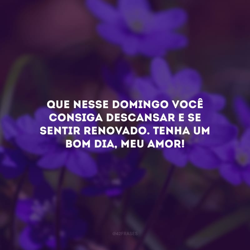 Que nesse domingo você consiga descansar e se sentir renovado. Tenha um bom dia, meu amor!