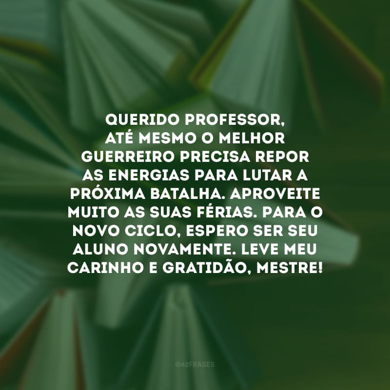 Querido professor, até mesmo o melhor guerreiro precisa repor as energias para lutar a próxima batalha. Aproveite muito as suas férias. Para o novo ciclo, espero ser seu aluno novamente. Leve meu carinho e gratidão, mestre!