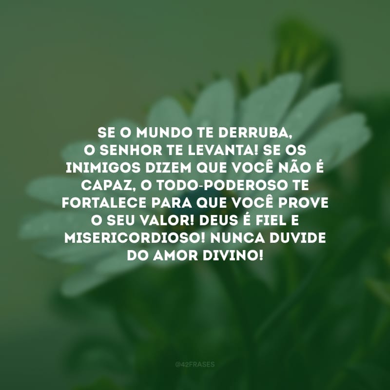 Se o mundo te derruba, o Senhor te levanta! Se os inimigos dizem que você não é capaz, o Todo-Poderoso te fortalece para que você prove o seu valor! Deus é fiel e misericordioso! Nunca duvide do amor divino!