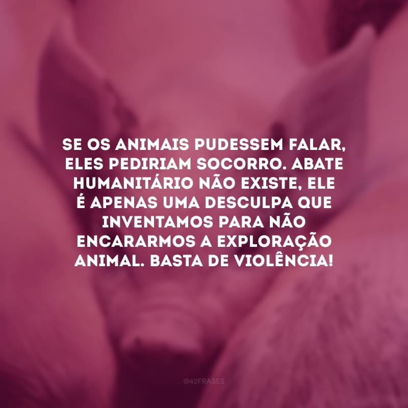 Se os animais pudessem falar, eles pediriam socorro. Abate humanitário não existe, ele é apenas uma desculpa que inventamos para não encararmos a exploração animal. Basta de violência!