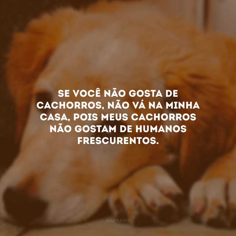 Se você não gosta de cachorros, não vá na minha casa, pois meus cachorros não gostam de humanos frescurentos.