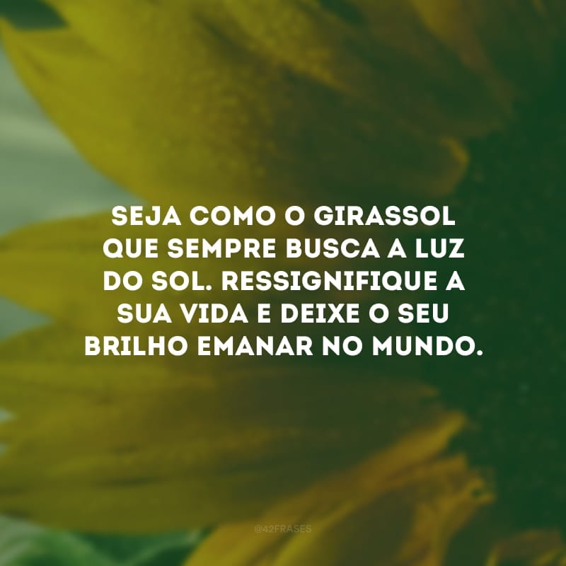 Seja como o girassol que sempre busca a luz do sol. Ressignifique a sua vida e deixe o seu brilho emanar no mundo.