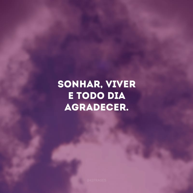 Sonhar, viver e todo dia agradecer.